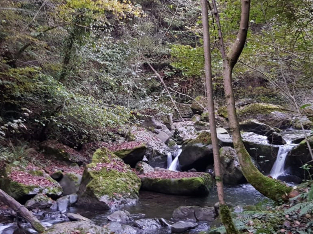 Cascada de Xurbeo景点图片