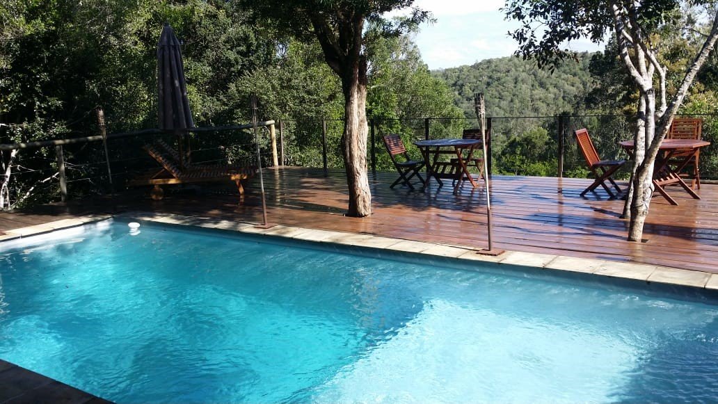 Trogon House and Forest Spa-泳池