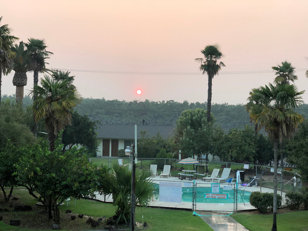 99 Palms Inn & Suites主图