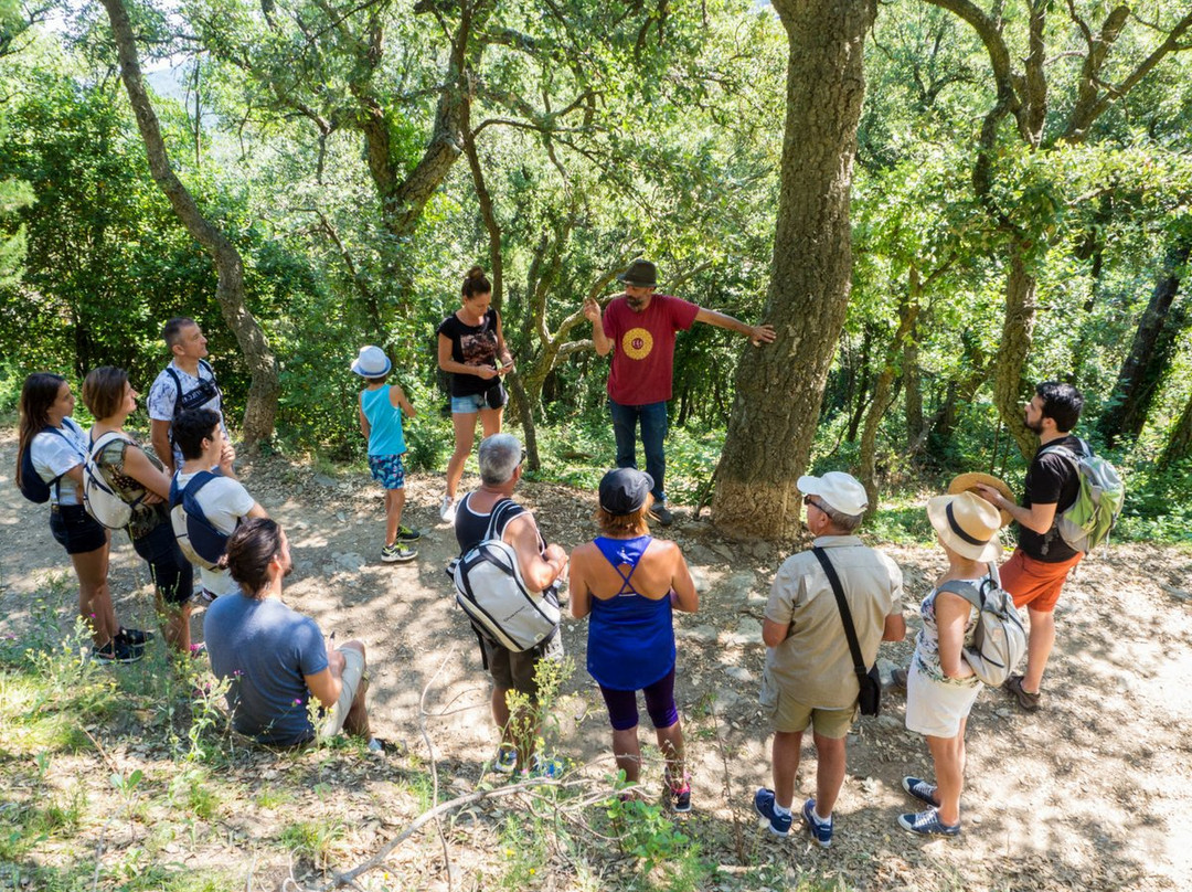 Le Conservatoire du Patrimoine de La Garde-Freinet