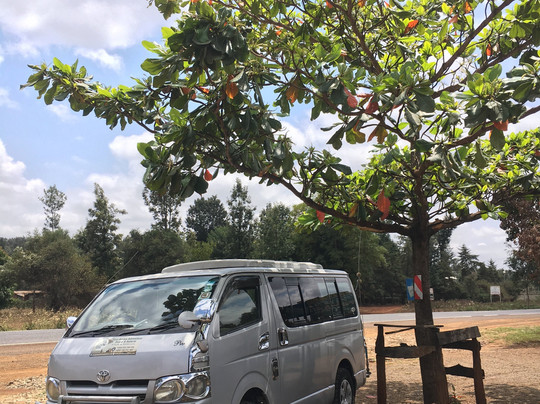 Sheben Safaris-蒙巴萨必去景点