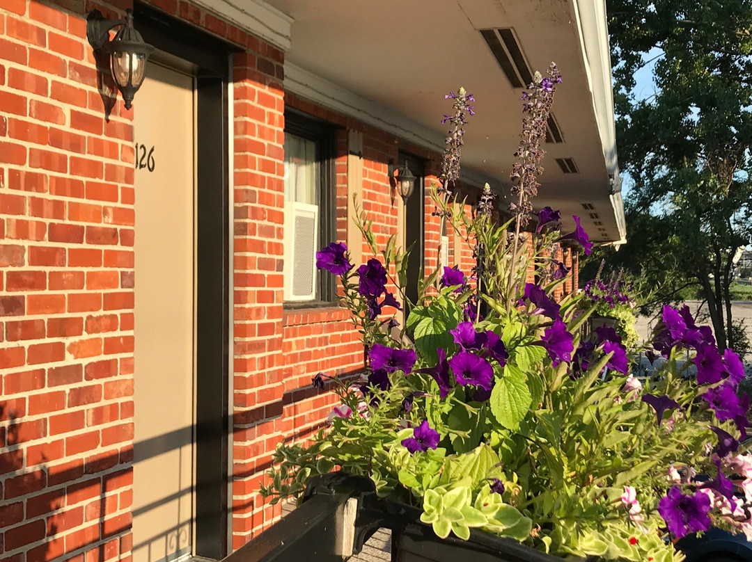 Motel Du Fleuve主图