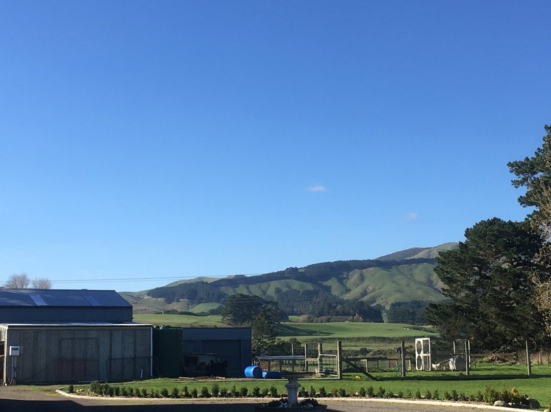 Hewitts Homestead主图