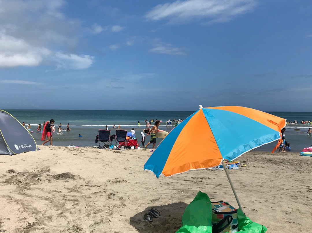 Minami Chikura Beach-南房总市必去景点