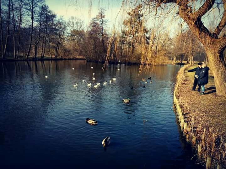Bygholm Park Legeplads景点图片