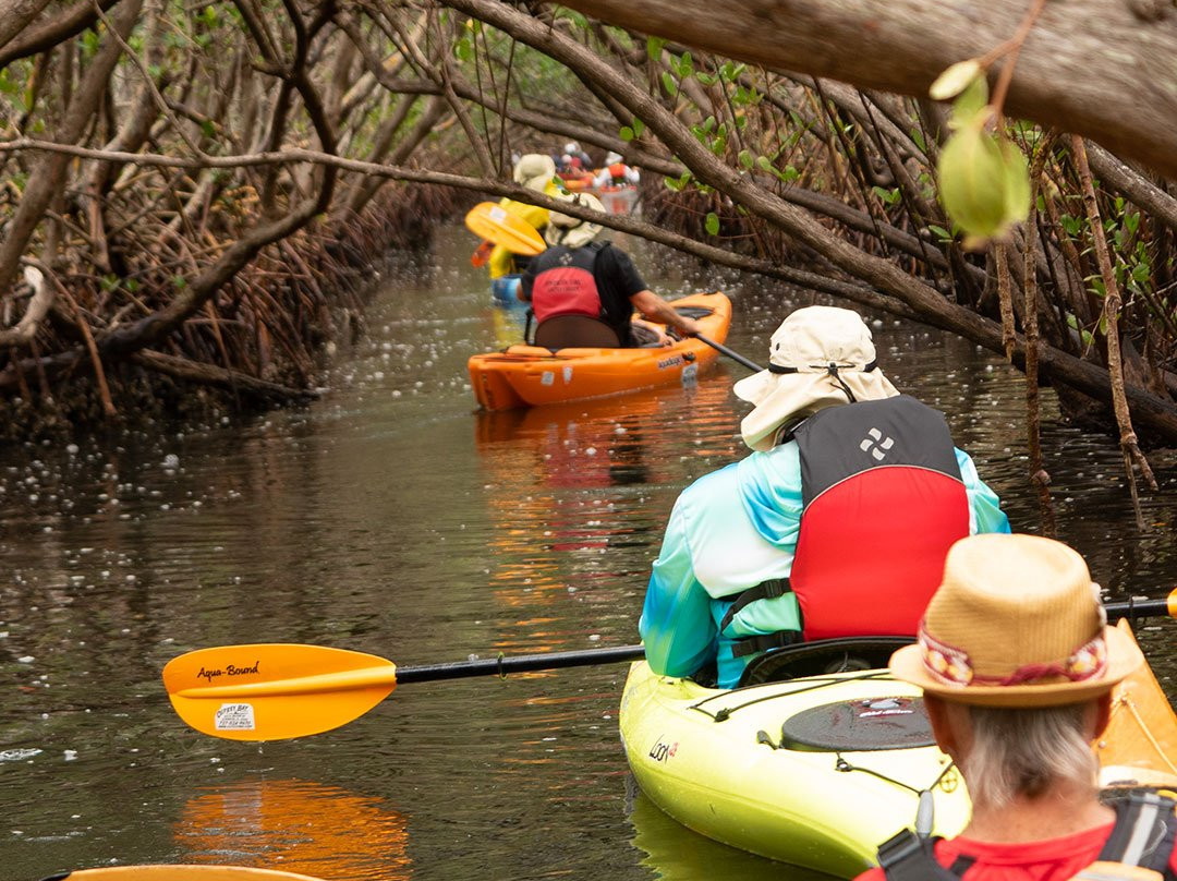 Osprey Bay Outdoors-克利尔沃特必去景点
