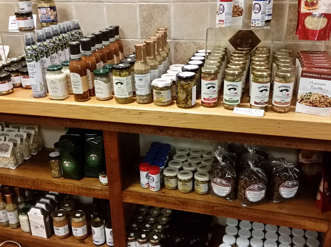 The Mushroom Cap-肯尼特斯奎尔必去景点