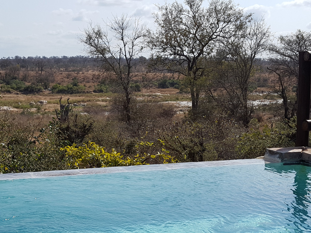 Bushwise Safari lodge Kruger Park主图