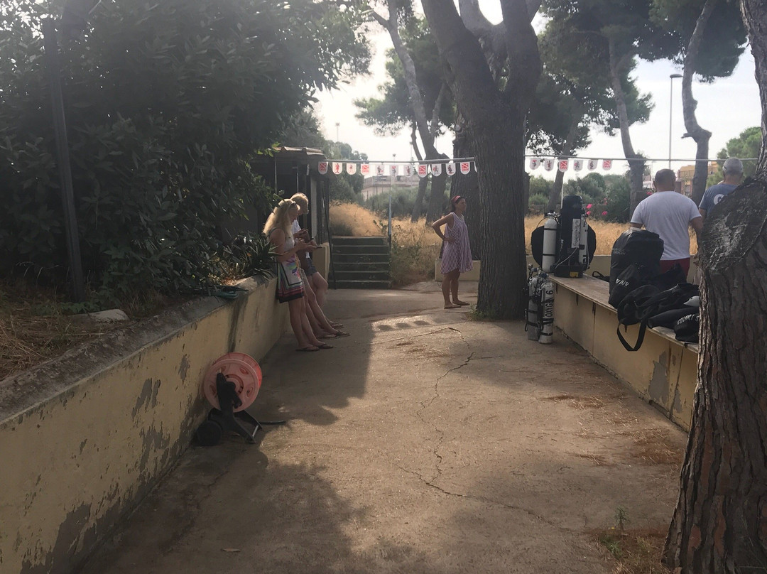 Explorers Team Dive Center-夸尔图－圣埃莱娜必去景点