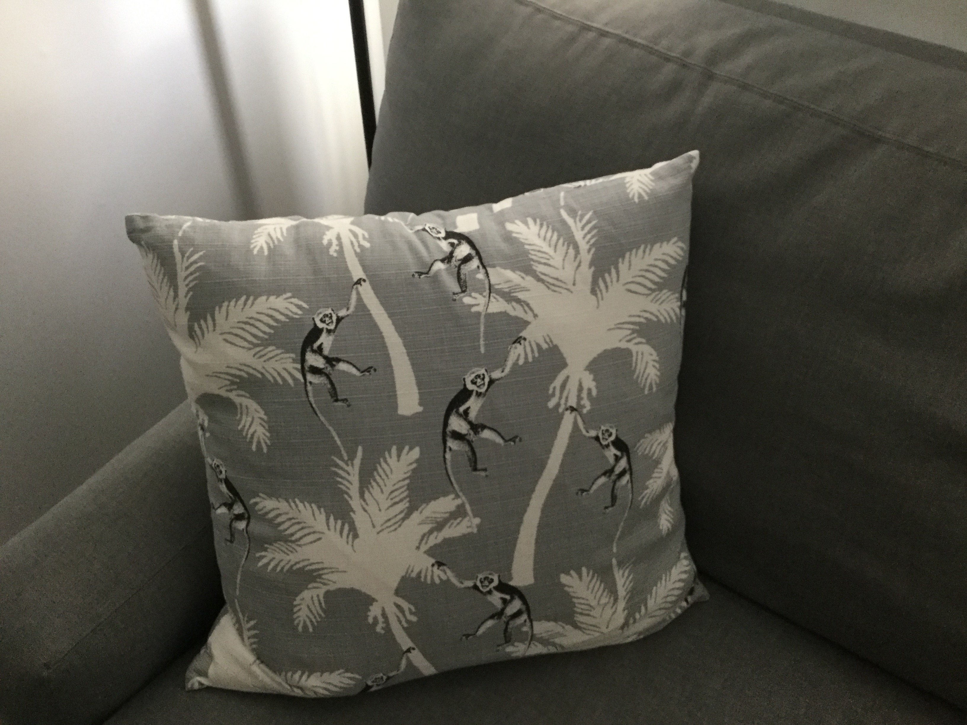 American Beech-官方