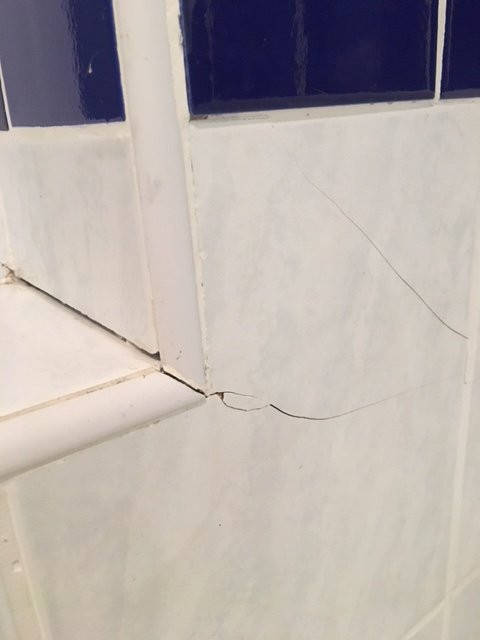 Albatross Guesthouse主图