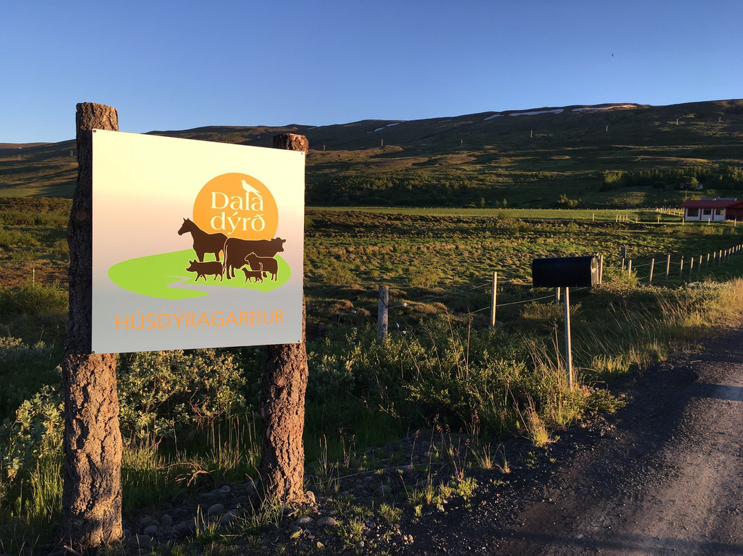 Petting Zoo Daladýrd