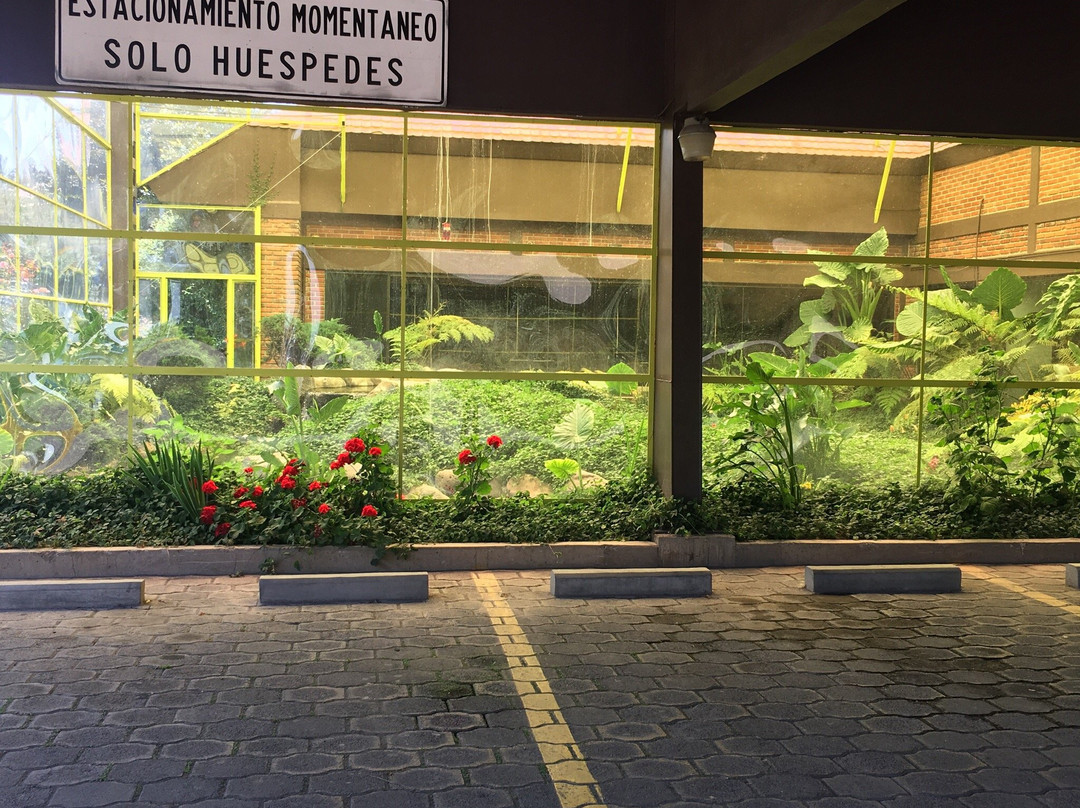 Hotel Oliver Inn Toluca主图