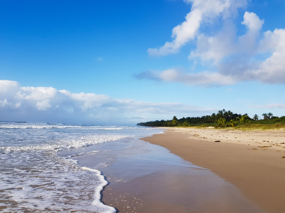 Txai Resort Itacaré主图