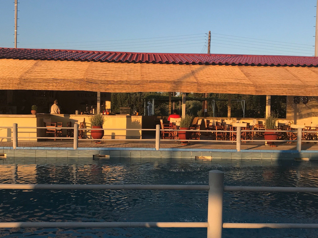 Edelweiss Hotel Livanates主图