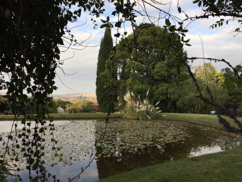 Zur alten Mine主图