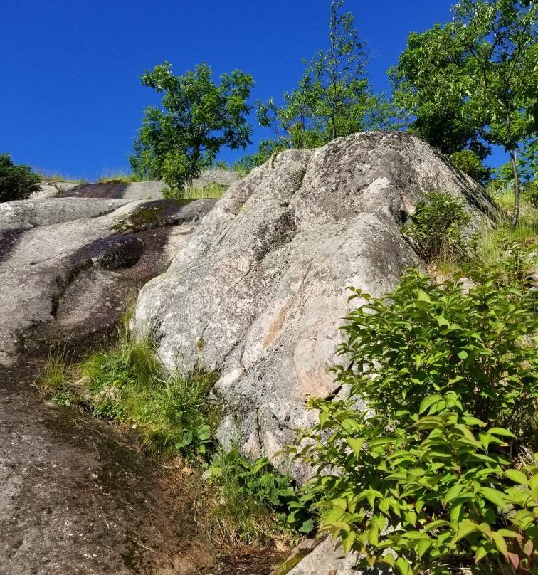 Hogback Mountain景点图片