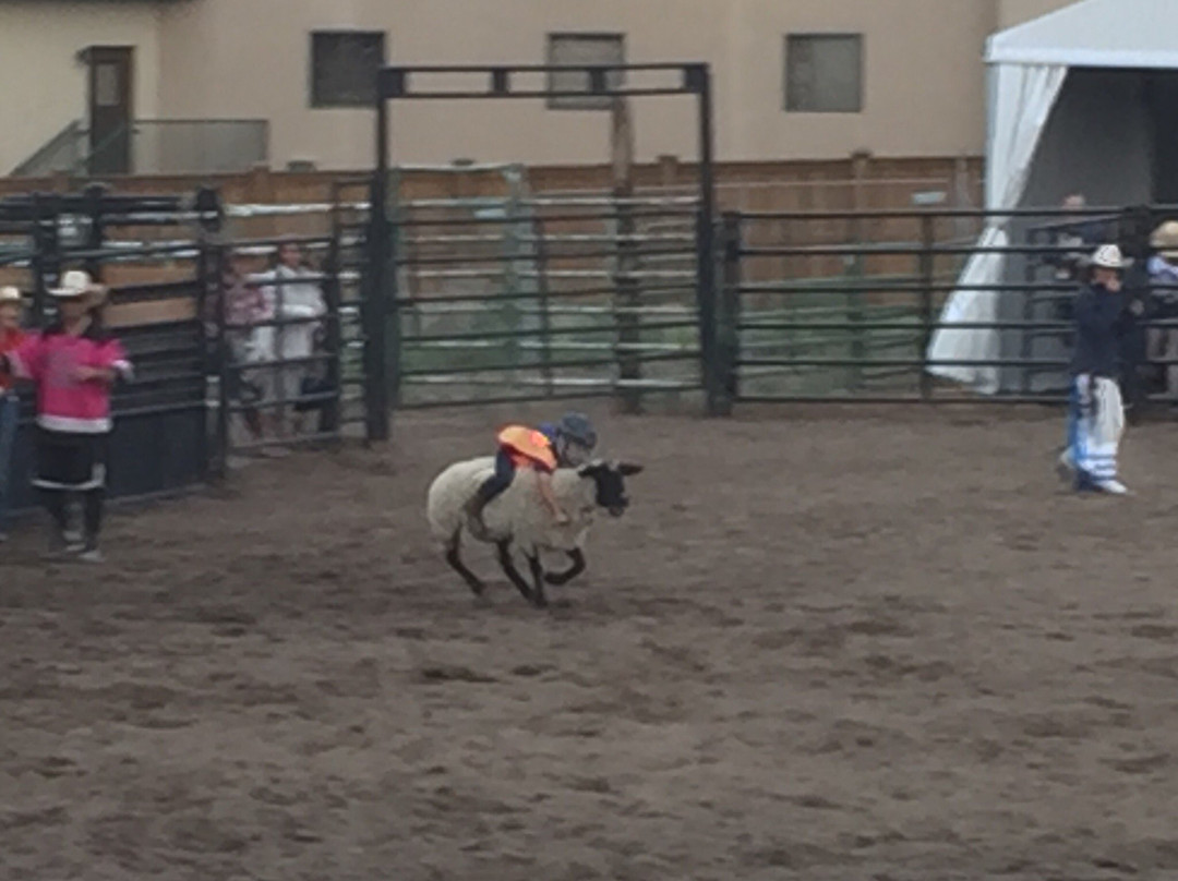 Vail / Beaver Creek Resort-韦尔必去景点