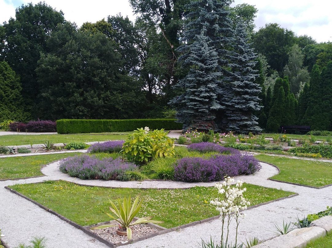 Poznan Botanical Gardens景点图片