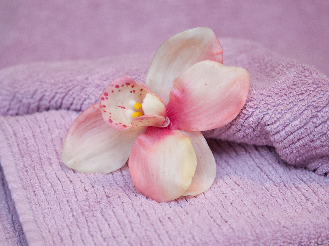 Mulberry Spa at Heacham Manor景点图片