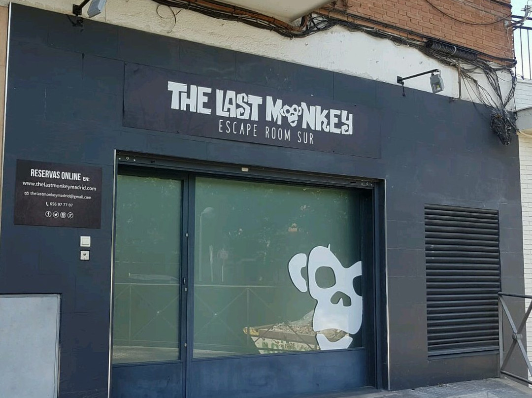 The Last Monkey-莱加内斯必去景点
