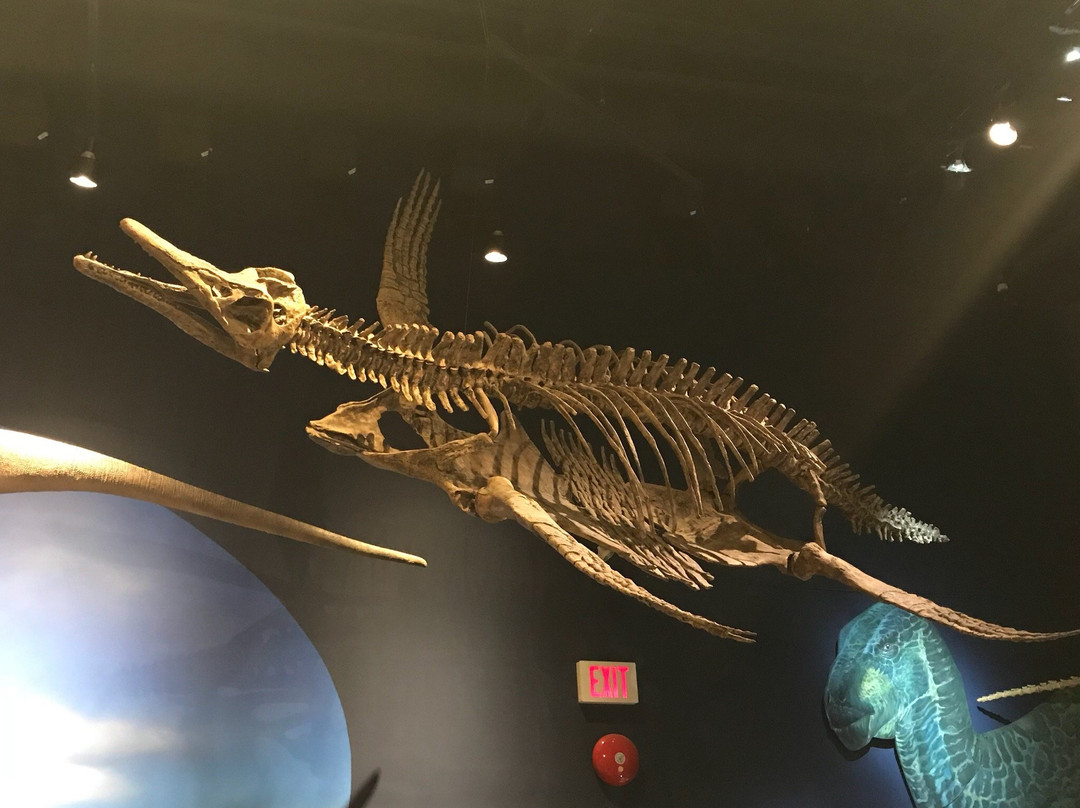 The Exploration Place Museum & Science Centre-乔治王子城必去景点