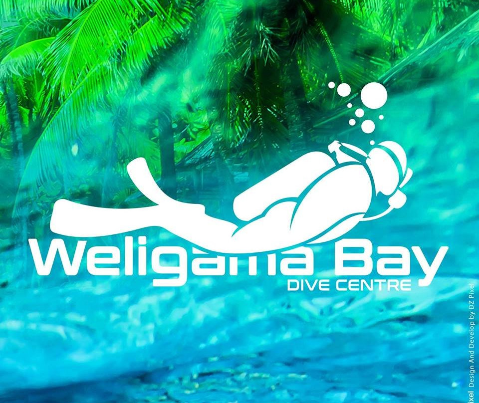Weligama Bay Dive Center-瓦勒迦玛必去景点