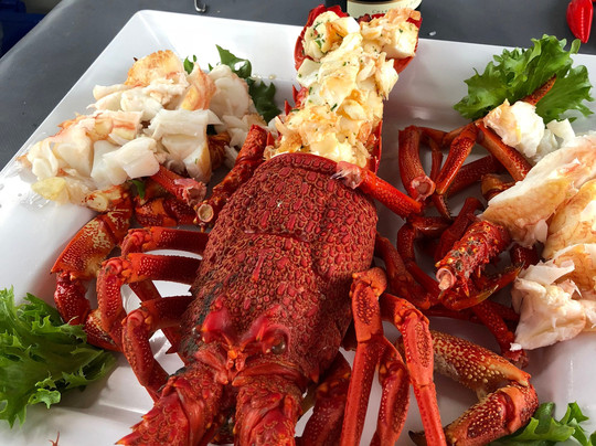 Tasmanian Wild Seafood Adventures-霍巴特必去景点