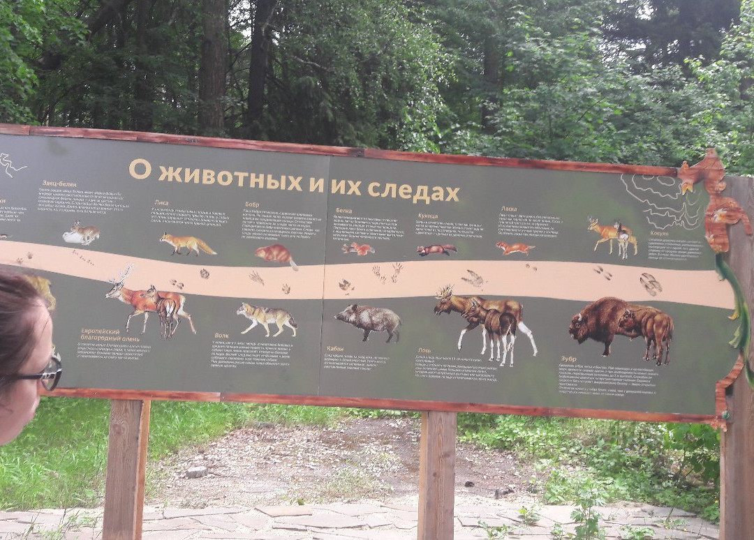 Prioksko-Terrasny Nature Reserve景点图片