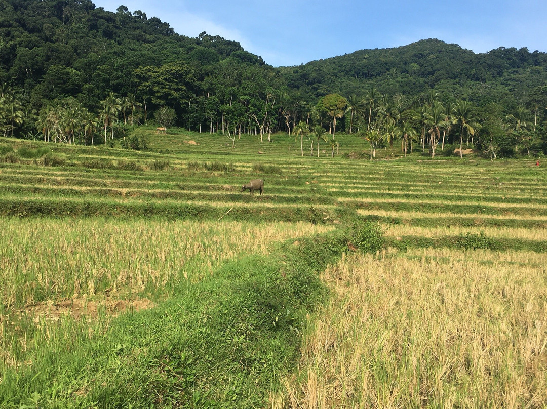 Marinduque Wildlife Sanctuary-Marinduque Island必去景点