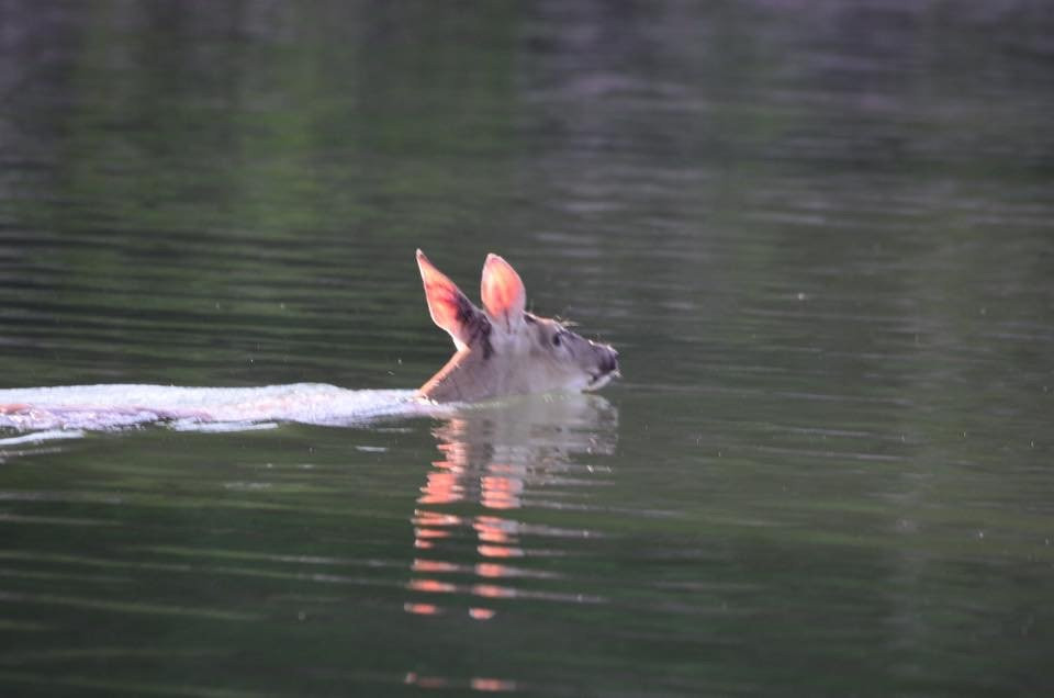 Harper Valley Resort主图