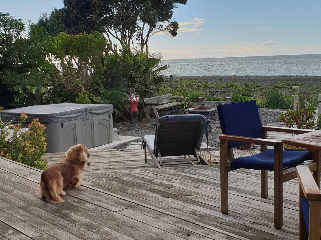 Absolute Beachfront Bed & Breakfast主图