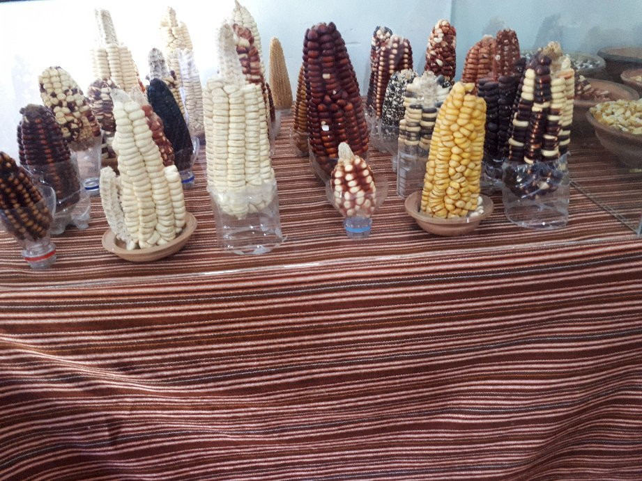 Museo Ritos Andinos-Andahuaylillas必去景点