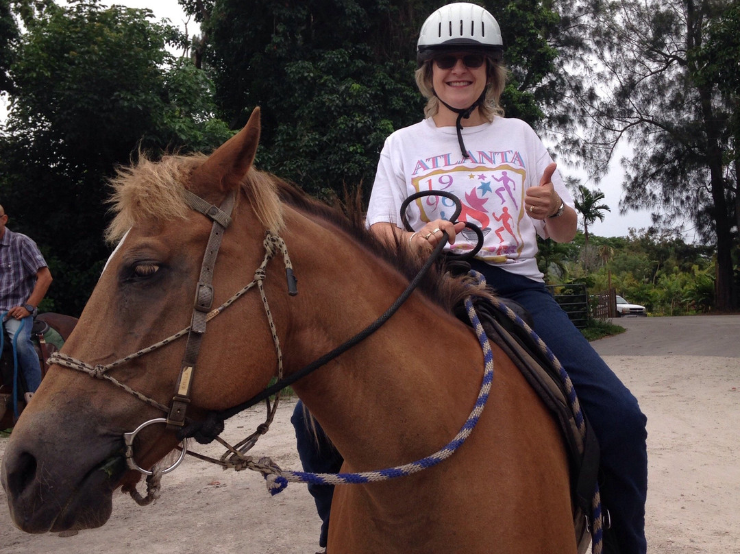 Bar-B-Ranch-戴维必去景点