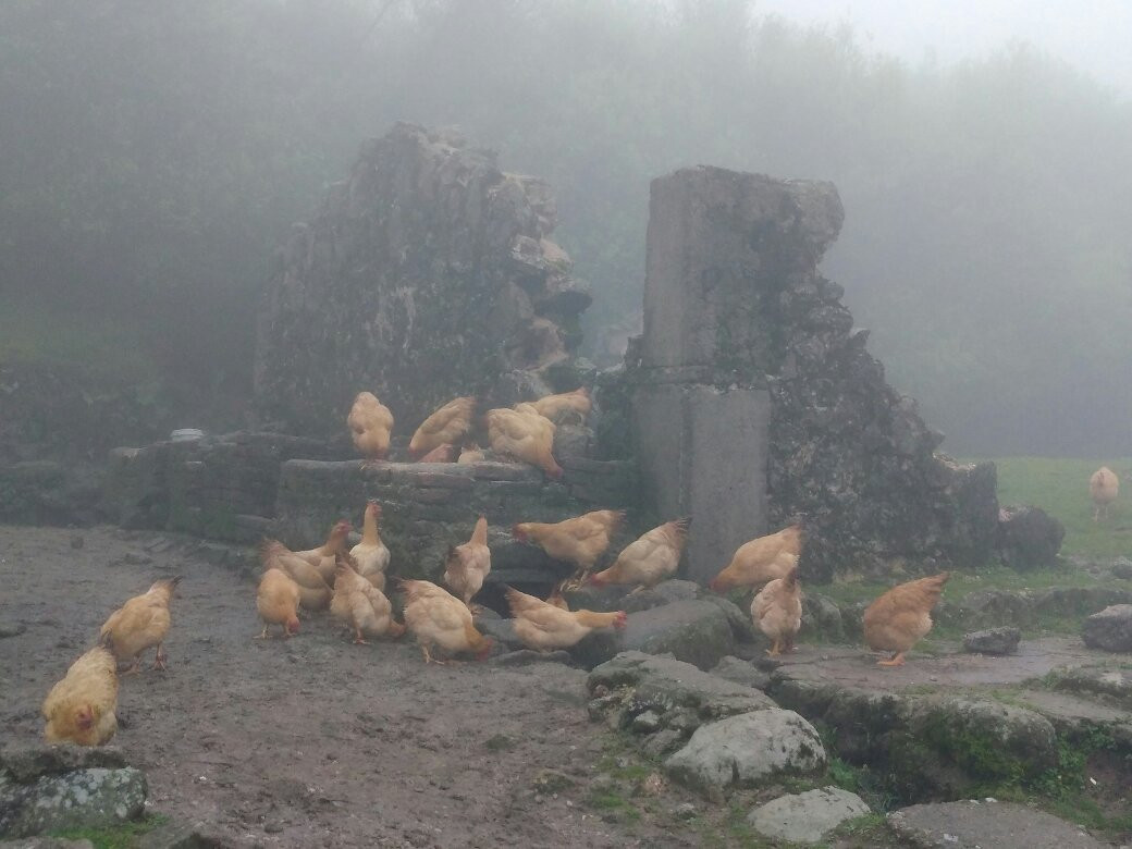 仰天湖草原风景旅游区-宜章县必去景点