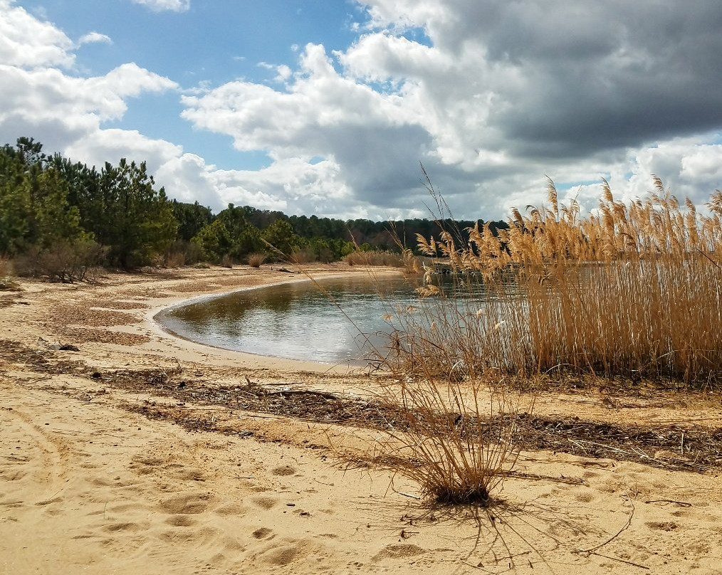 Hog Island Wildlife Management Area-Surry必去景点