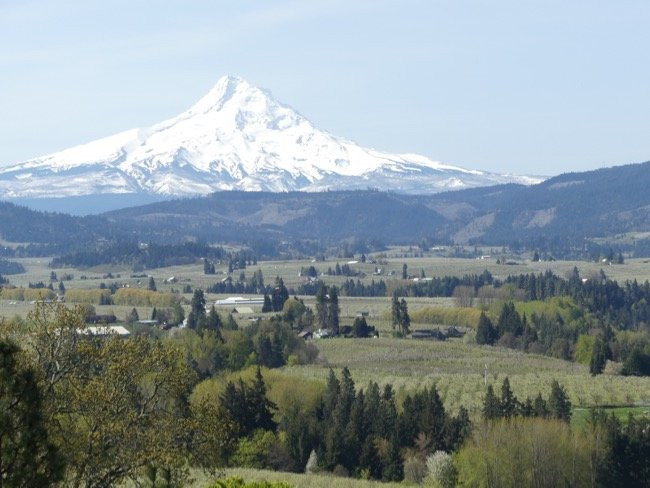 Panorama Point County Park景点图片