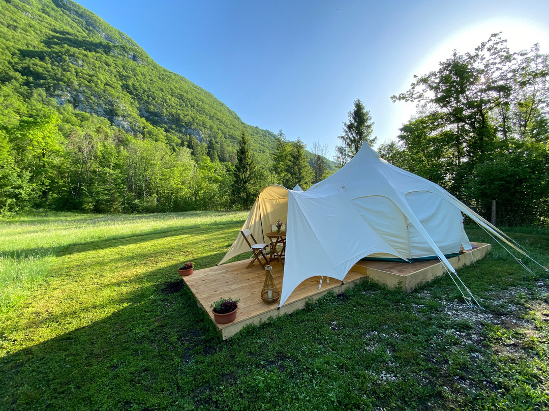 Glamping Gozdna Jasa