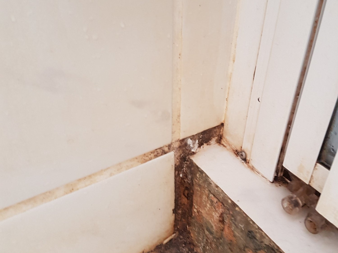 One One Guest House Kuils River主图