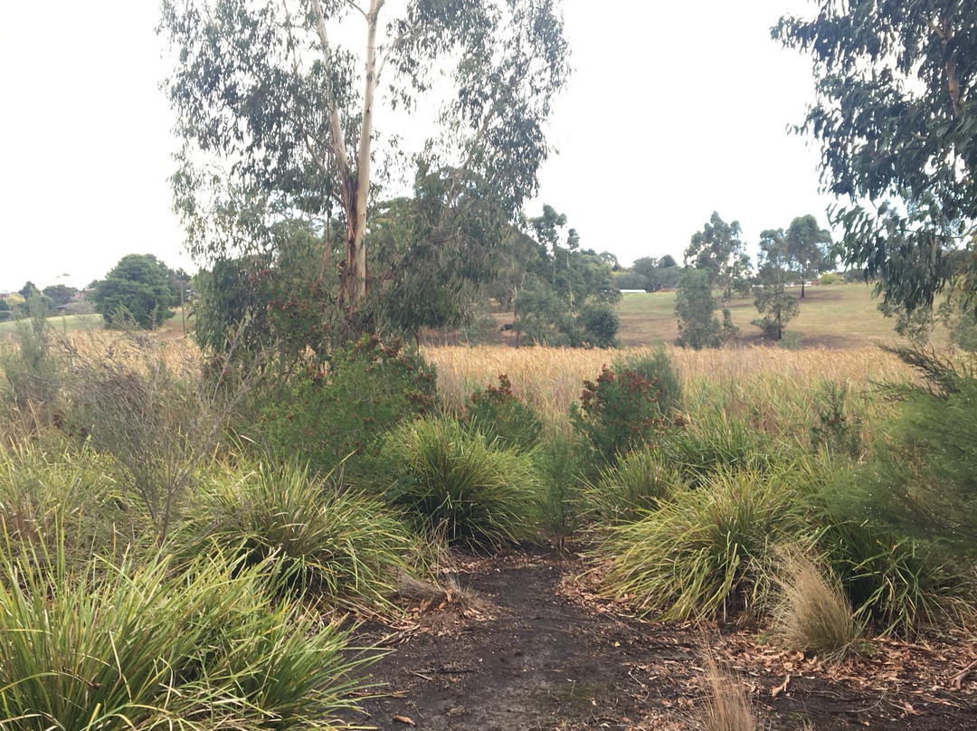 Challenger St Reserve-Diamond Creek必去景点