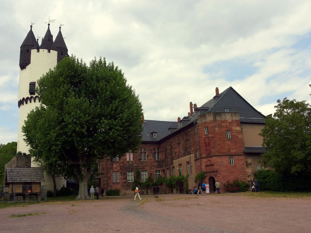 Vor- und Frühgeschichtsmuseum Schloss Steinheim景点图片
