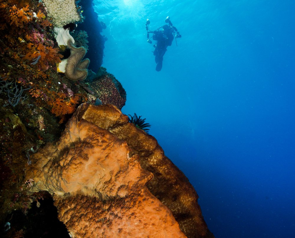 Aquatica Dive Resort景点图片