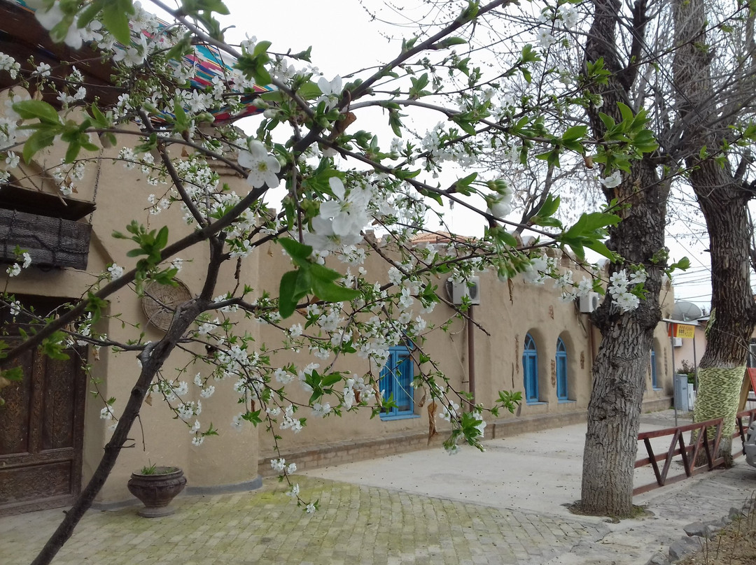 Human House Shop-塔什干必去景点