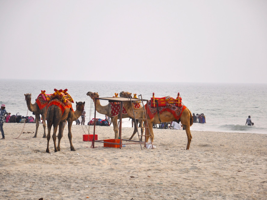 MTDC - Tarkarli Resort主图