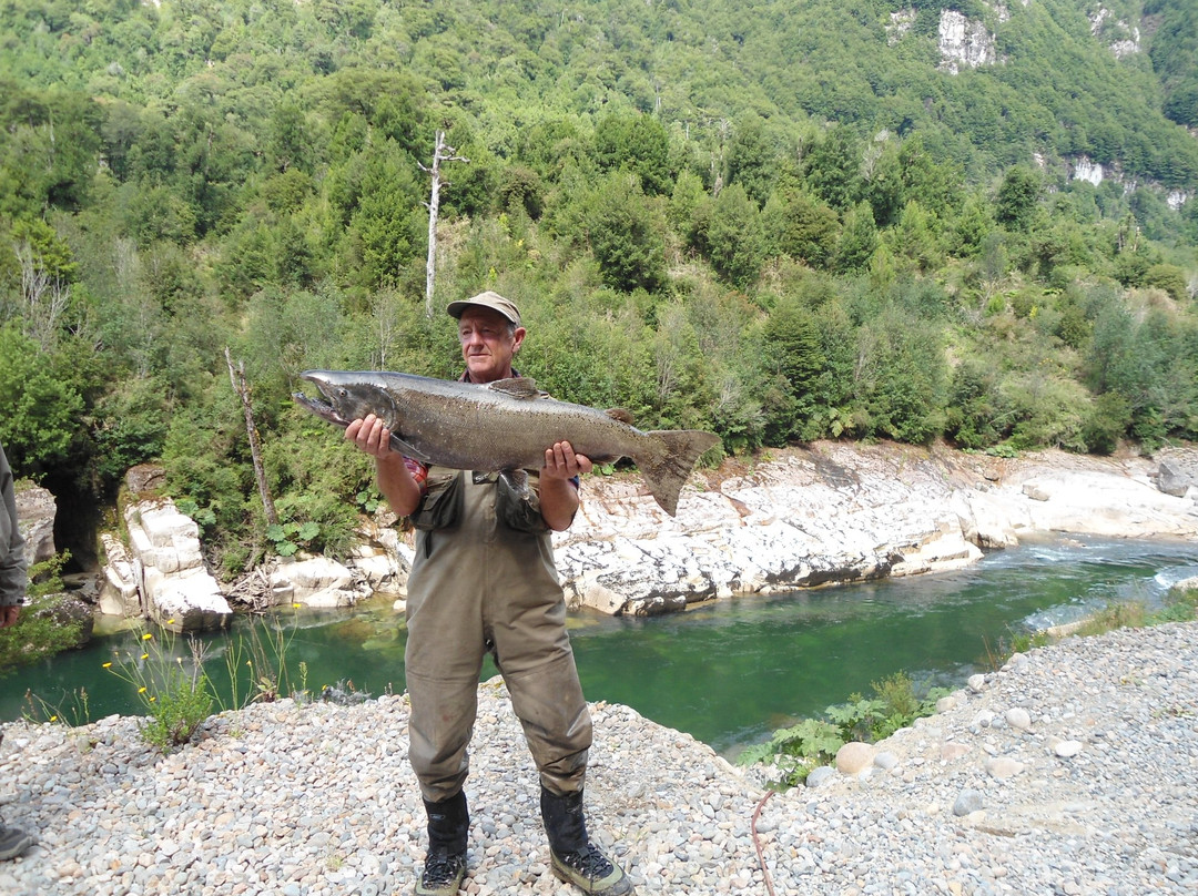 Viva La Lluvia-Cisnes必去景点