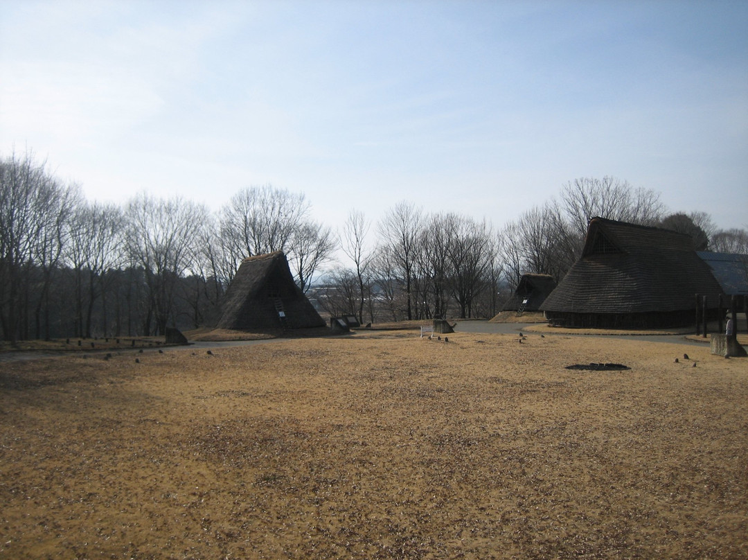 Utsunomiya Ruins Plaza景点图片