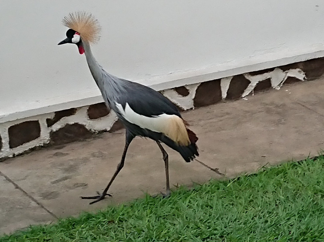 Best Outlook Hotel主图