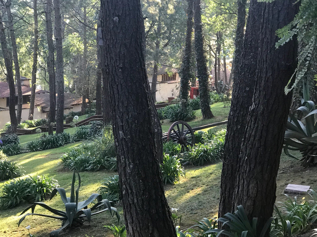 Hotel Sierra Paraiso主图