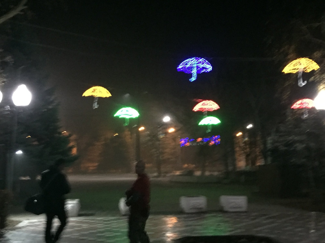 Rope Park High Park Melitopol景点图片