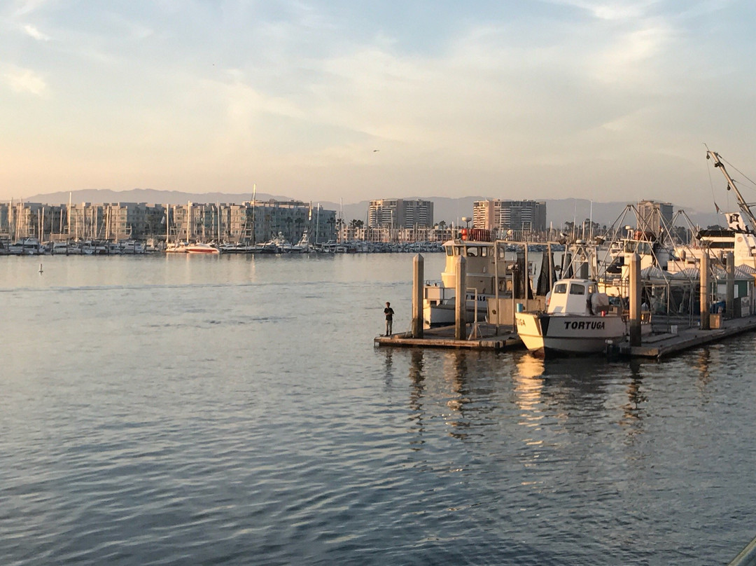 Marina del Rey Harbor-玛丽安德尔湾必去景点